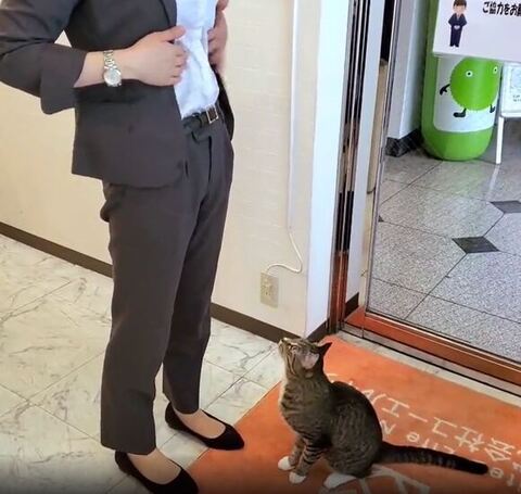 お座りして見てる