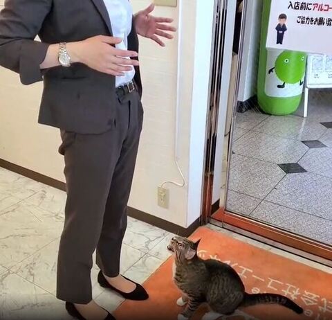 お座りして鳴いてる