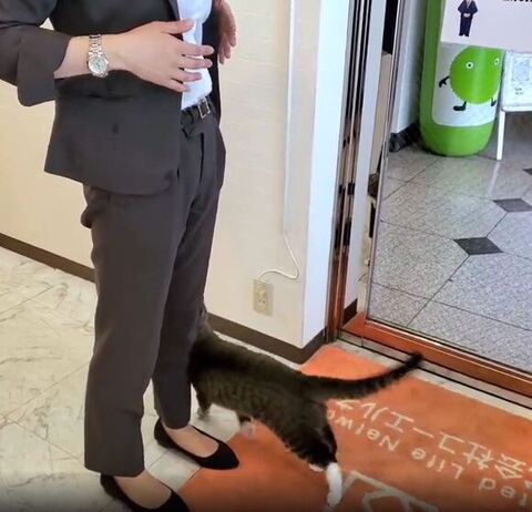 足にスリスリ