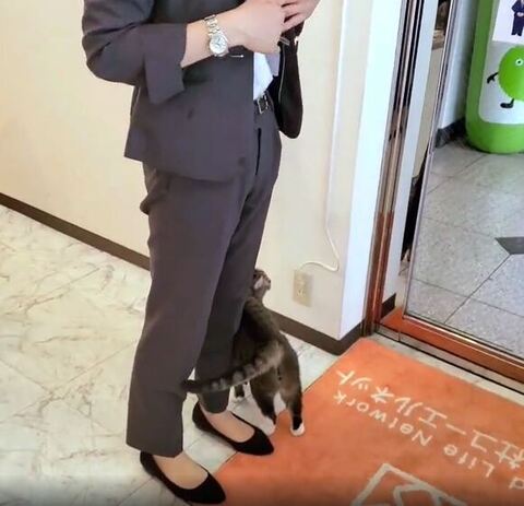 足にしっぽとお尻くっつけてる
