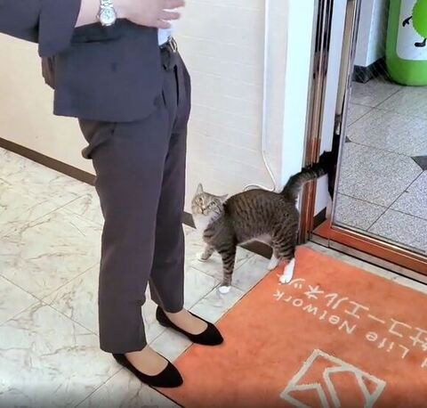 横から4足で見上げてる