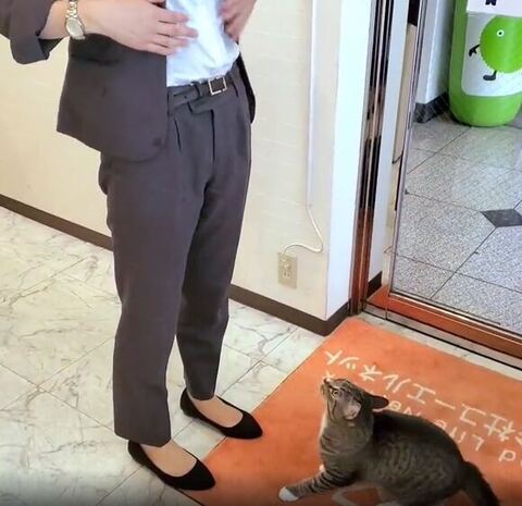 構えてる