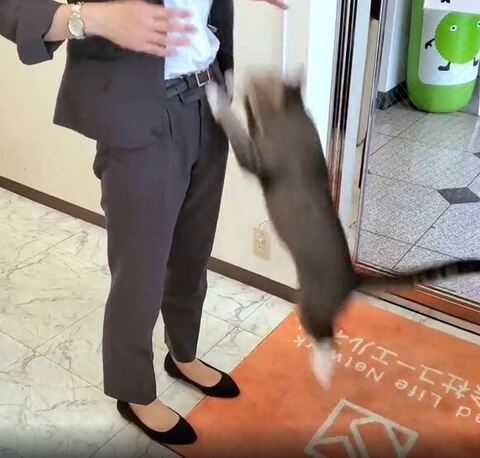飛んでる瞬間