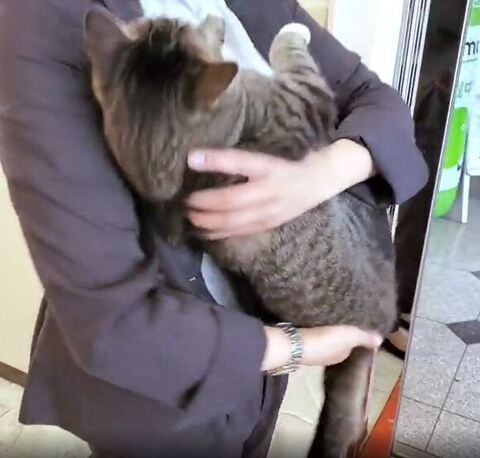 抱っこされてる後ろ姿
