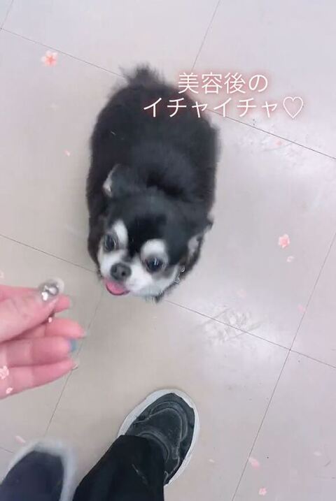 足元から見上げてる