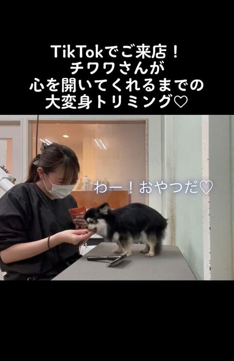 おやつ食べてる