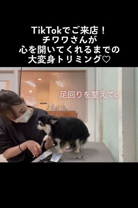 足のまわりカットしてる