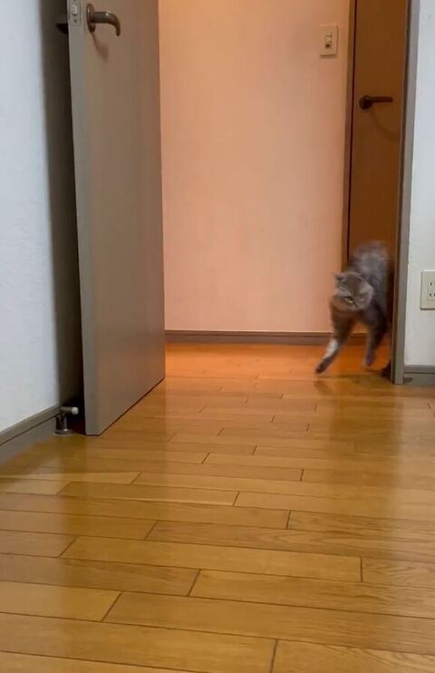 少し体をだしてる