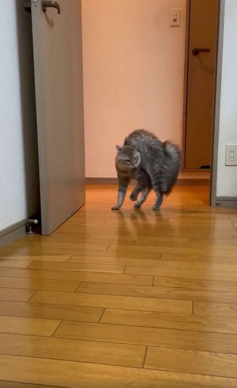 センターにいる