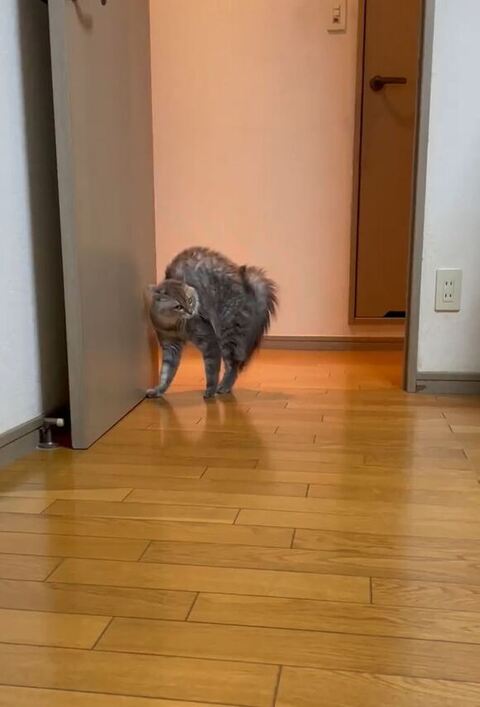 左に寄る