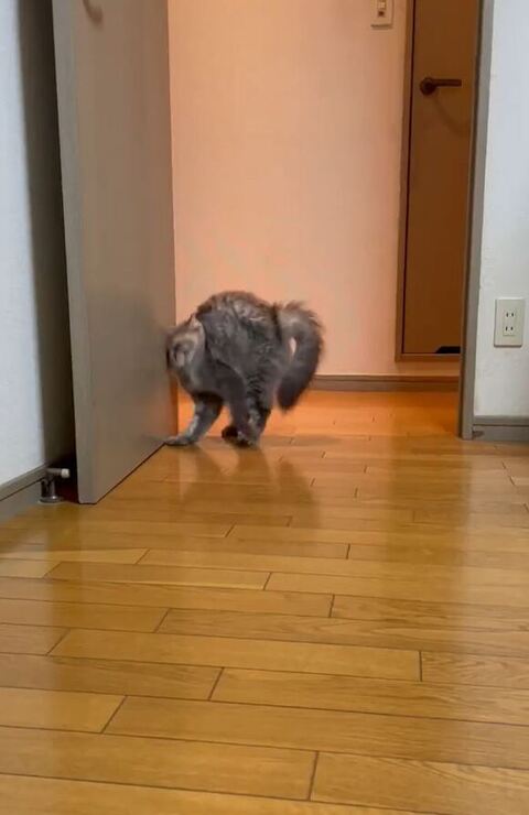 顔がぶつかる