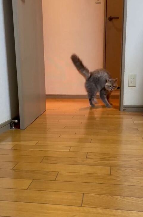 右側による