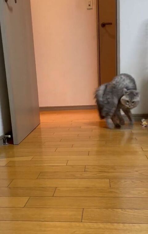 2足で立ち去る