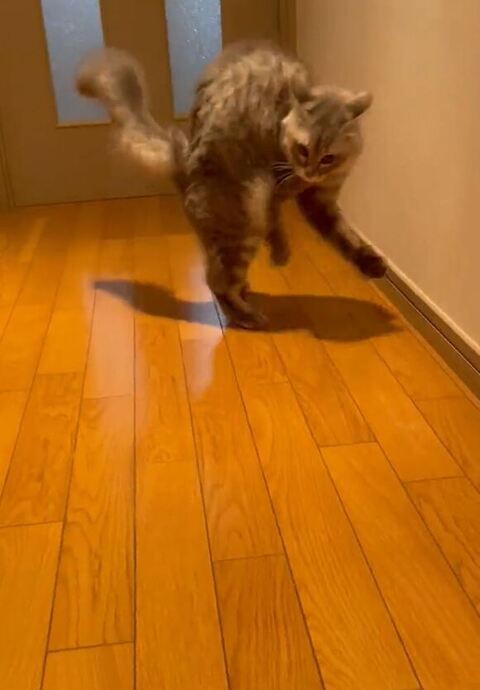 左手さし出してる