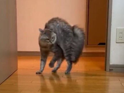 センターにいるアップ