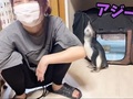 大量のアジにペンギンが発狂→「あ、あ……あぁあああ!!!!」　歓喜の雄たけびをあげる姿が700万回再生突破！