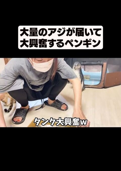 うれしそうなペンギン