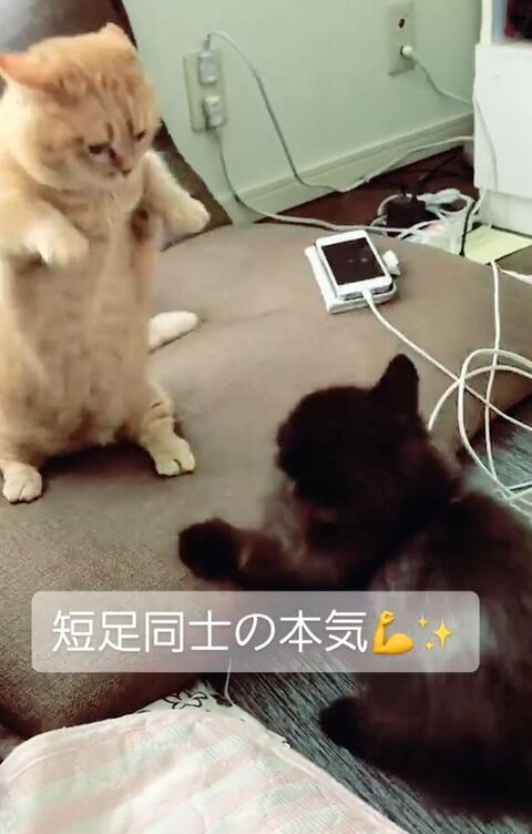 サスケくんしゃがんでる