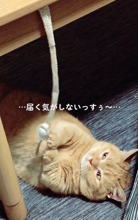 体が半分以上見える