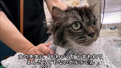洗濯ネットインボルトくん