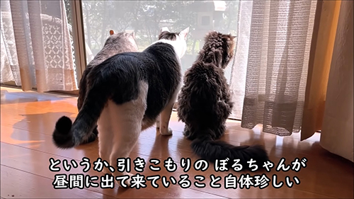 スリーショット