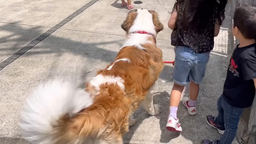 サロンに向かうてんてんくん