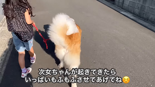 いっぱいモフモフさせてあげてね