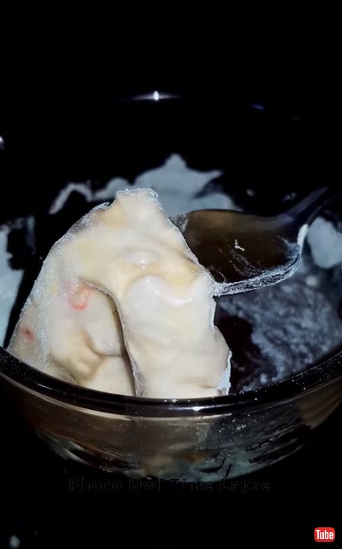 明日は注いだビールを放置したらどうなる？　シンプルだけどグロテスクな実験映像