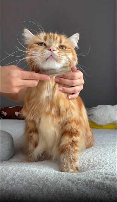 乾いたちくわさん