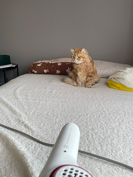 ちくわさんに遠くからドライヤー