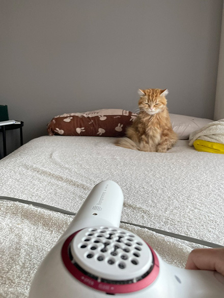 ちくわさんに遠くからドライヤー