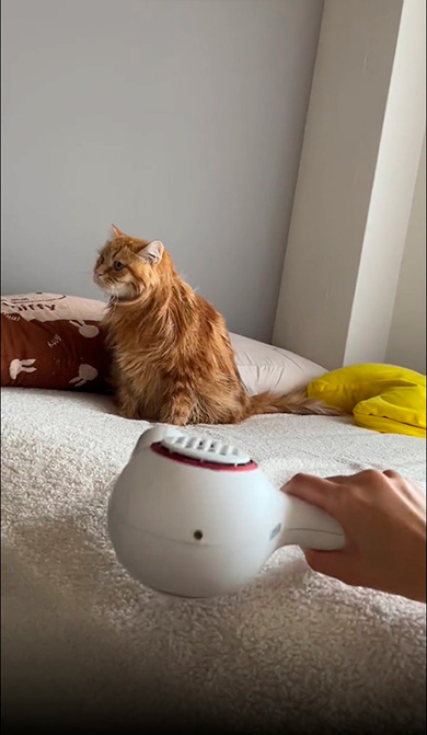 ちくわさん遠くからドライヤー