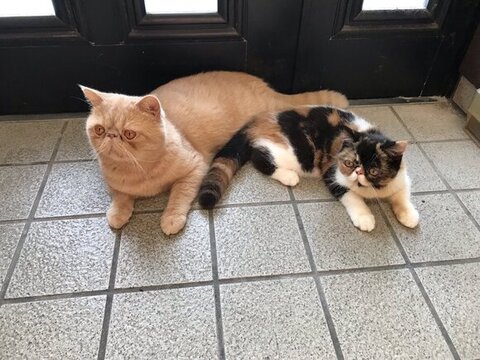 玄関にいるふたり