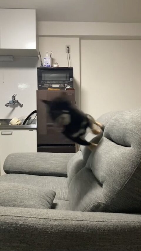 オススメ