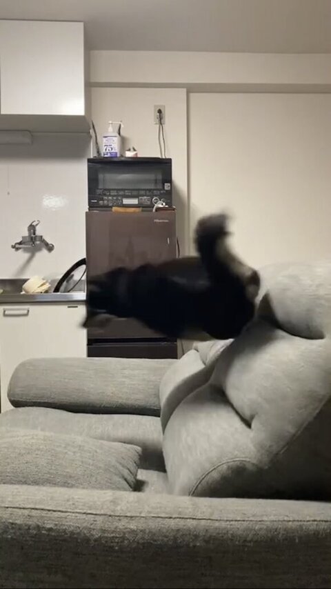 お尻をむけて走ってる