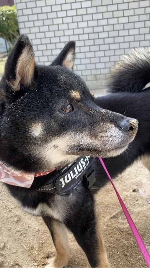 顔に砂ついてる横顔