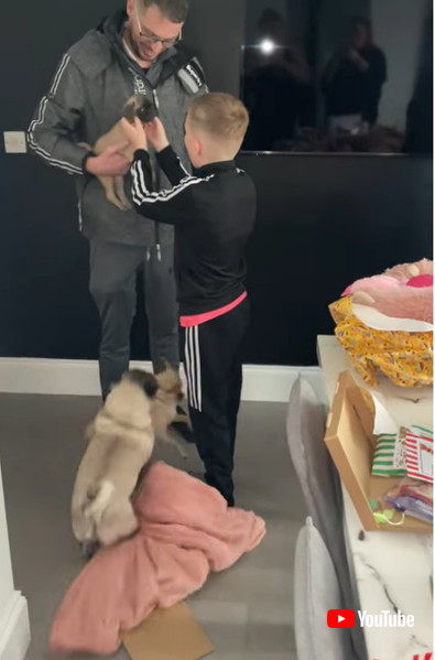 子犬に気付いた少年