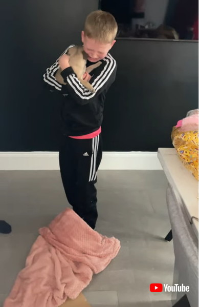 子犬を抱っこして泣く少年