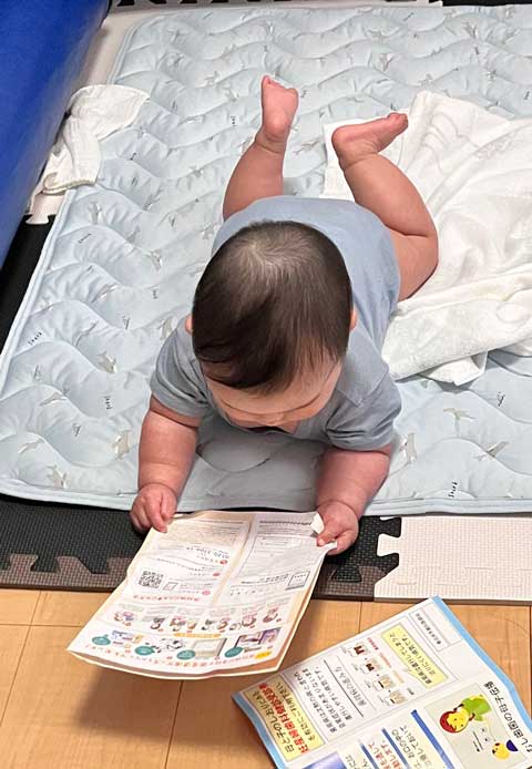 チラシ 真剣 見てる 吟味 赤ちゃん 貫禄
