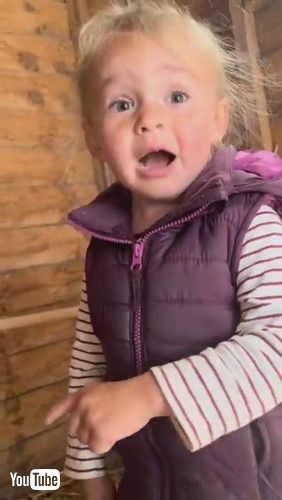 「Little Girl's Interaction With Chicken Has Mom Cracking Up || ViralHog」