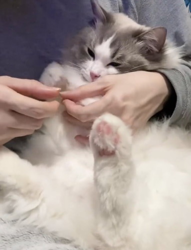 おすすめ