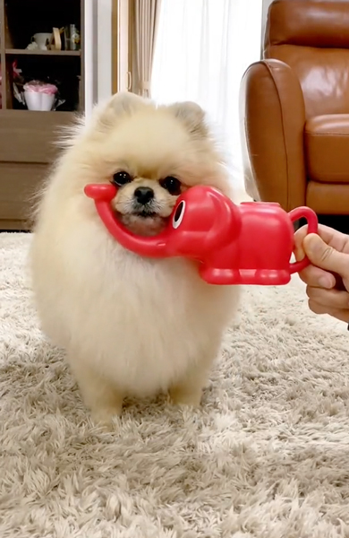 ぞうさんのジョウロにあご乗せ