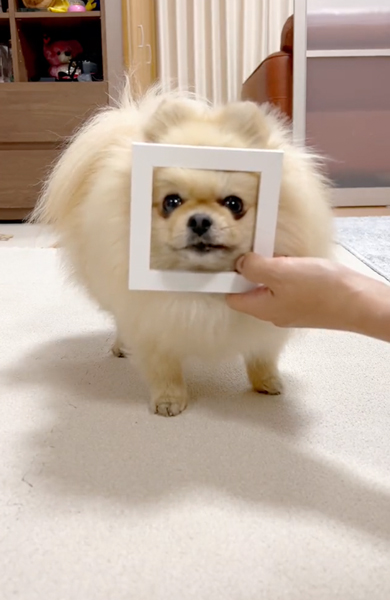 木の枠にあご乗せ