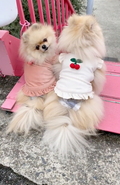 おそろいコーデ