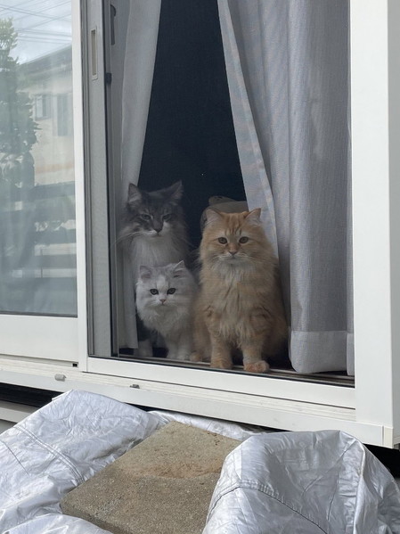 レイ、ノーマン、エマちゃんが並ぶ姿