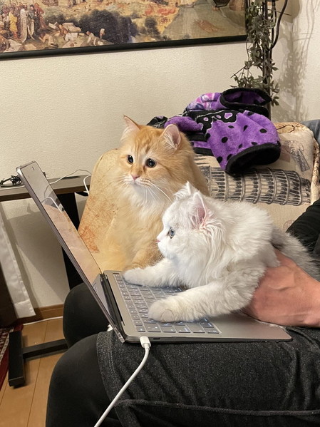 PC前のエマとノーマン