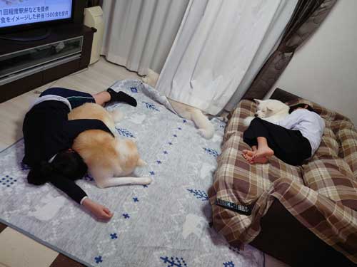 長女と長男の犬吸い