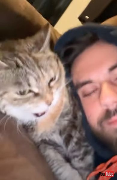 ブチギレるニャンコ