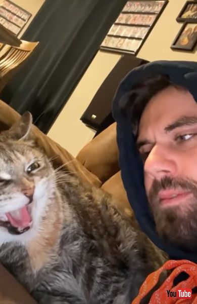 キスを拒否する猫