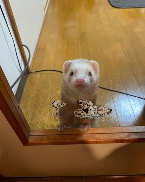 ドア越しに見てる